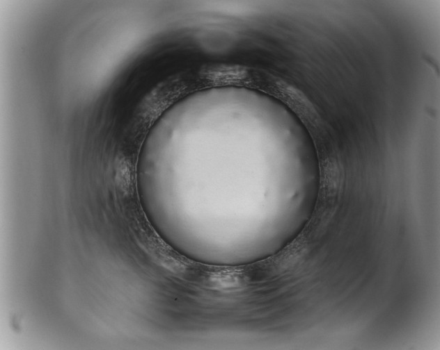 X0000102260761200808011404