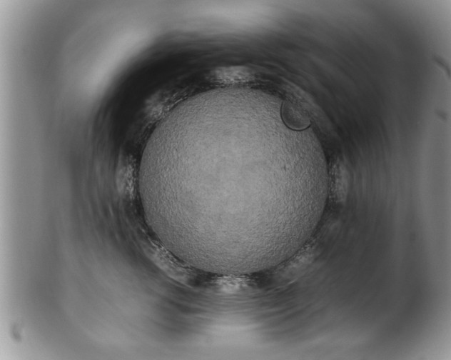 X0000102260762200808011404