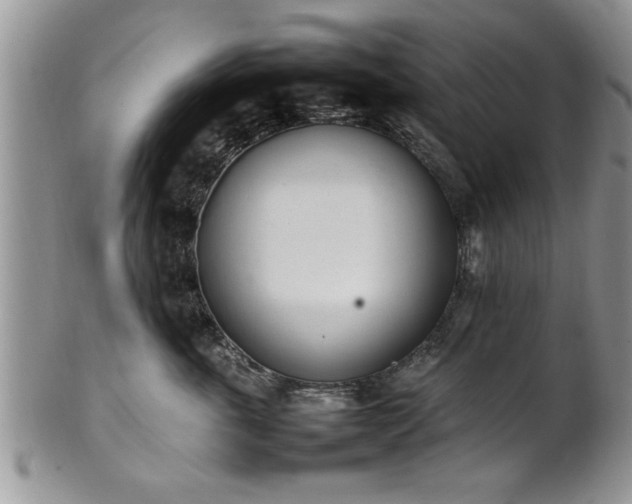 X0000102260763200808011404