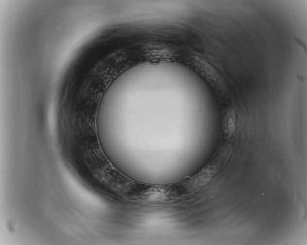 X0000102260764200808011404