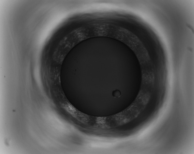 X0000102260766200808011404