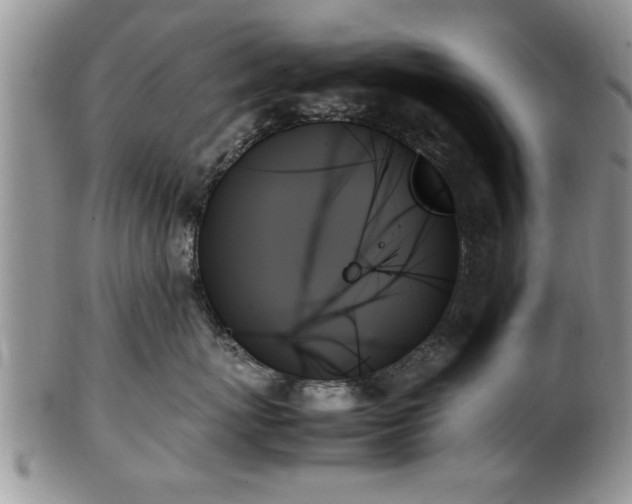 X0000102260767200808011404