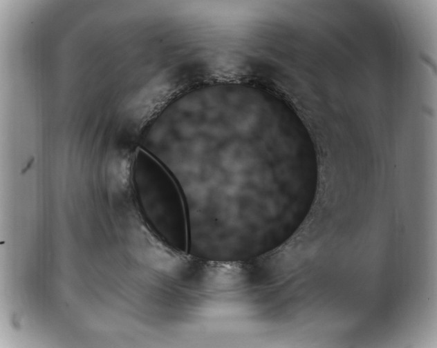 X0000102260768200808011404