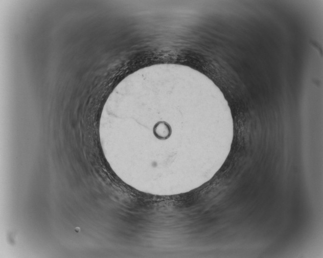 X0000102260769200808011404