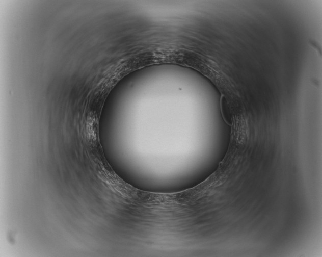 X0000102260770200808011404