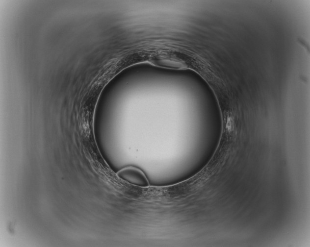 X0000102260771200808011404