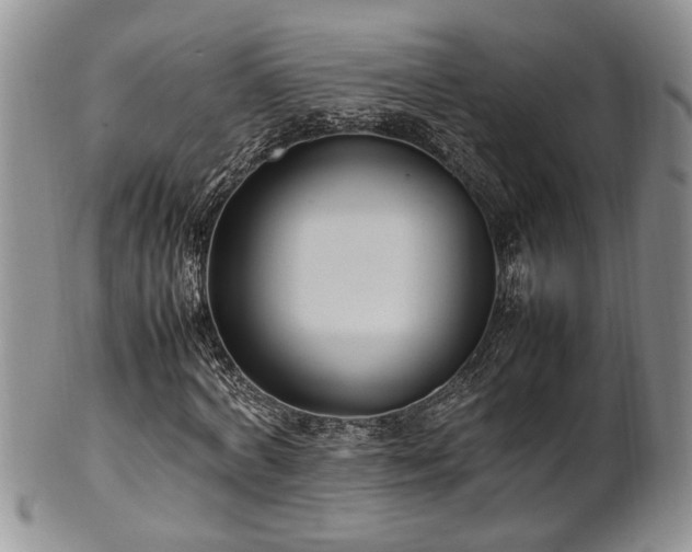 X0000102260772200808011404