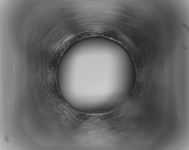 X0000102260773200808011404