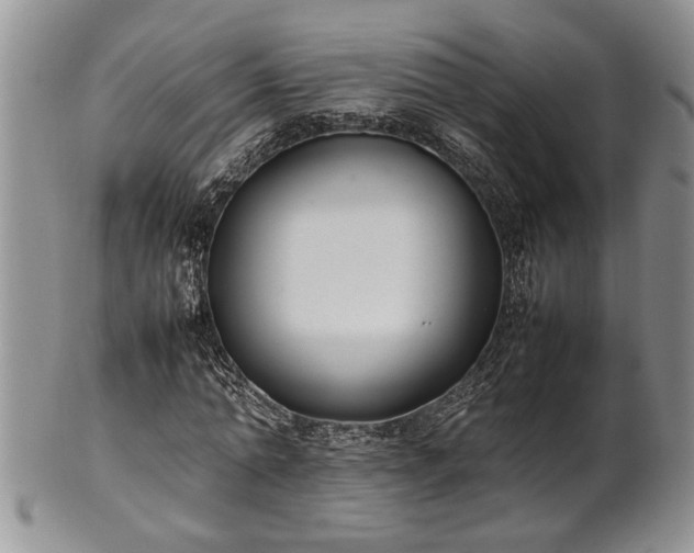 X0000102260774200808011404