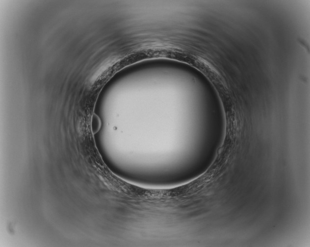 X0000102260775200808011404