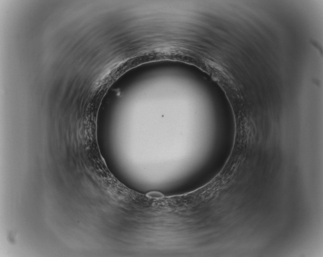 X0000102260776200808011404