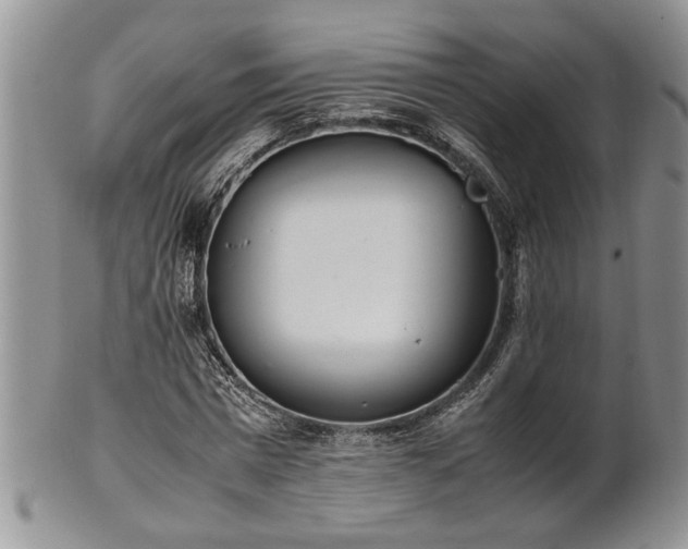 X0000102260777200808011404