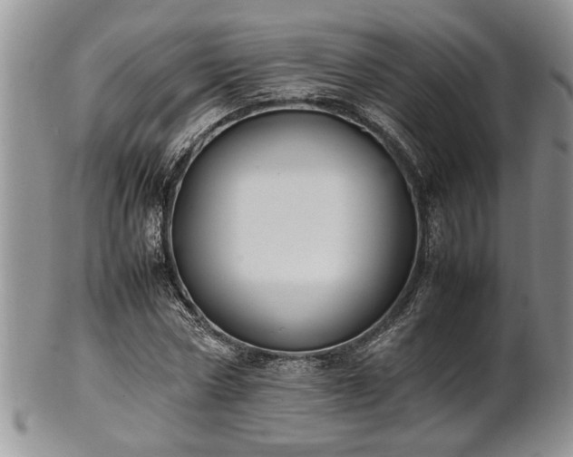 X0000102260778200808011404