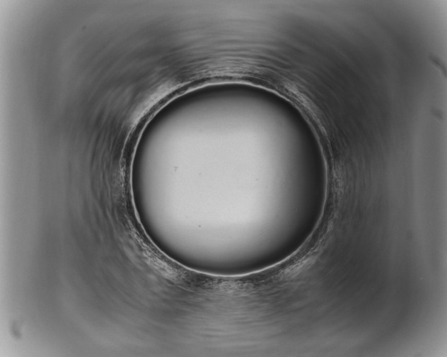 X0000102260779200808011404