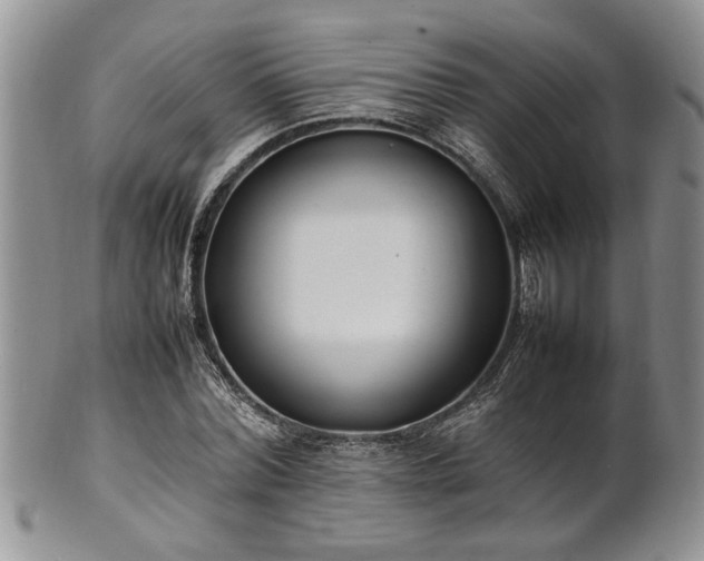 X0000102260780200808011403