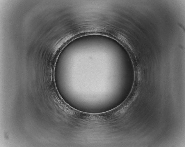 X0000102260781200808011403