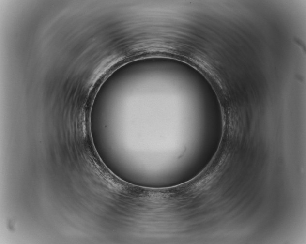 X0000102260782200808011403