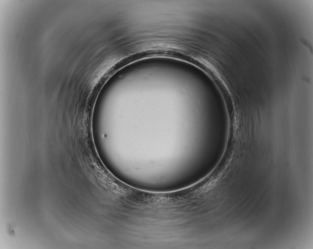 X0000102260783200808011403