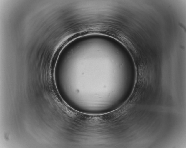 X0000102260784200808011403