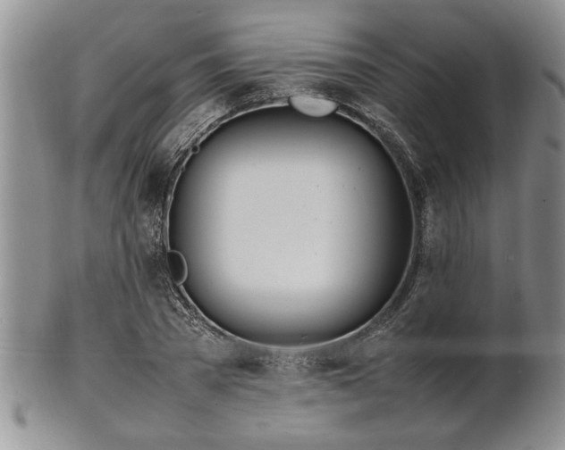 X0000102260785200808011403