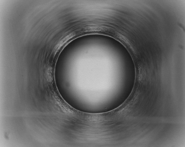 X0000102260786200808011403