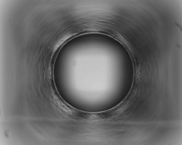 X0000102260787200808011403