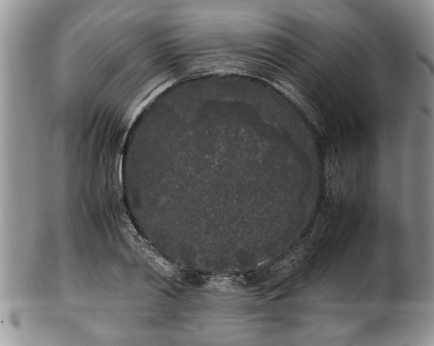 X0000102260790200808011403