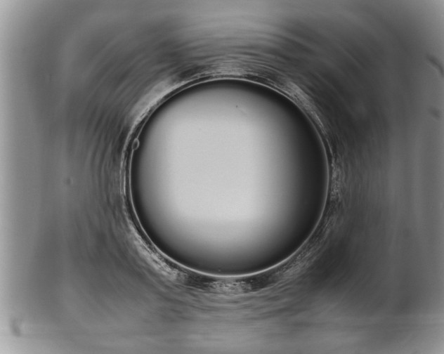 X0000102260795200808011403