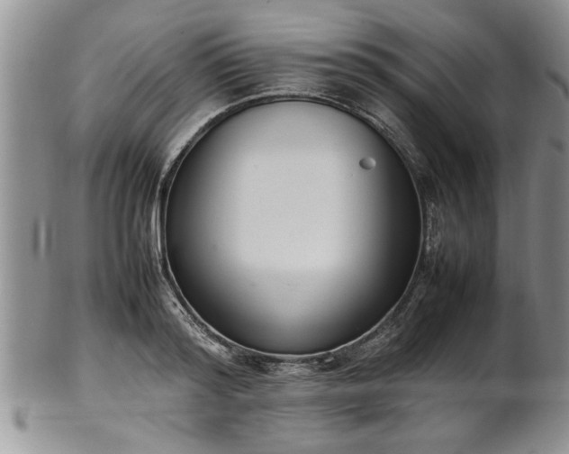 X0000102260796200808011403