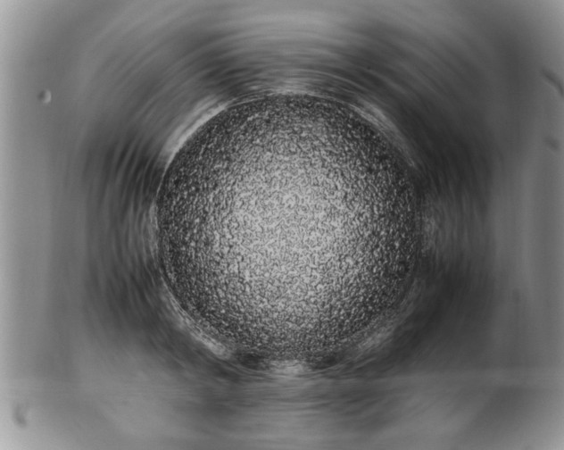 X0000102260798200808011403