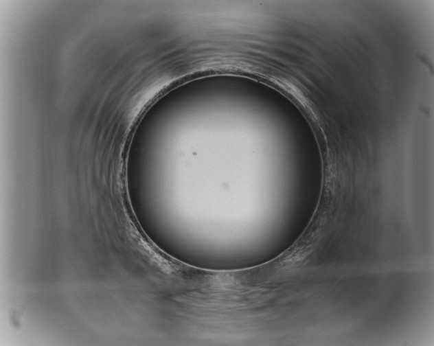 X0000102260799200808011403