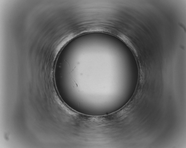 X0000102260805200808011403