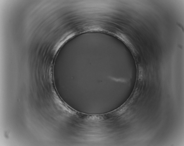 X0000102260806200808011403