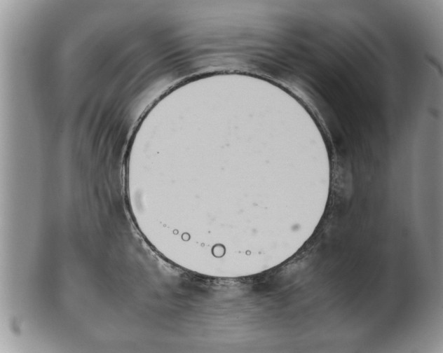 X0000102260807200808011403