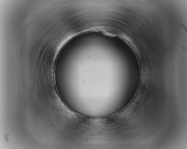 X0000102260808200808011403