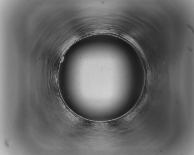 X0000102260809200808011403