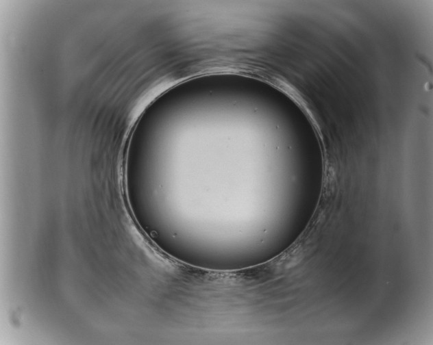 X0000102260811200808011403