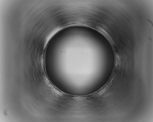 X0000102260812200808011403