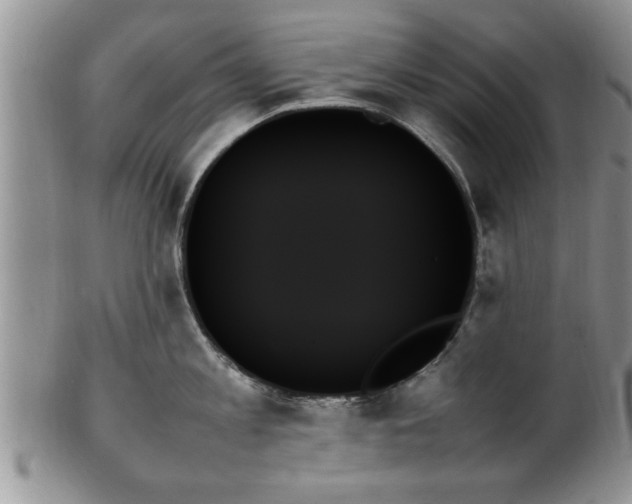 X0000102260813200808011403