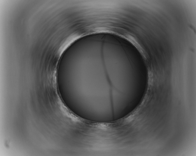 X0000102260814200808011403