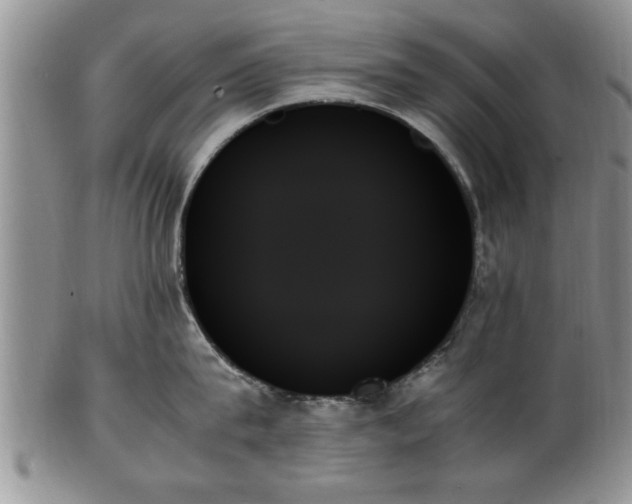 X0000102260815200808011403