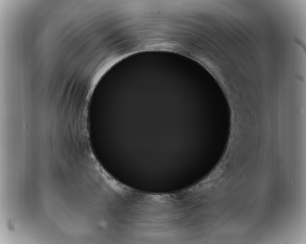 X0000102260816200808011403