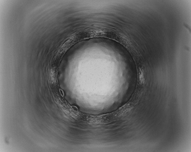 X0000102260819200808011402