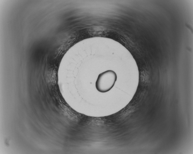 X0000102260820200808011402