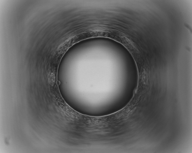 X0000102260821200808011402