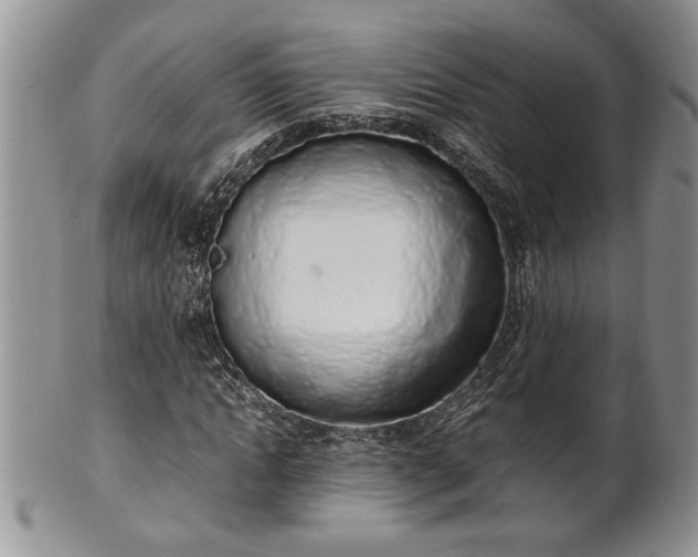 X0000102260822200808011402