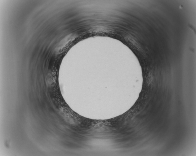 X0000102260824200808011402