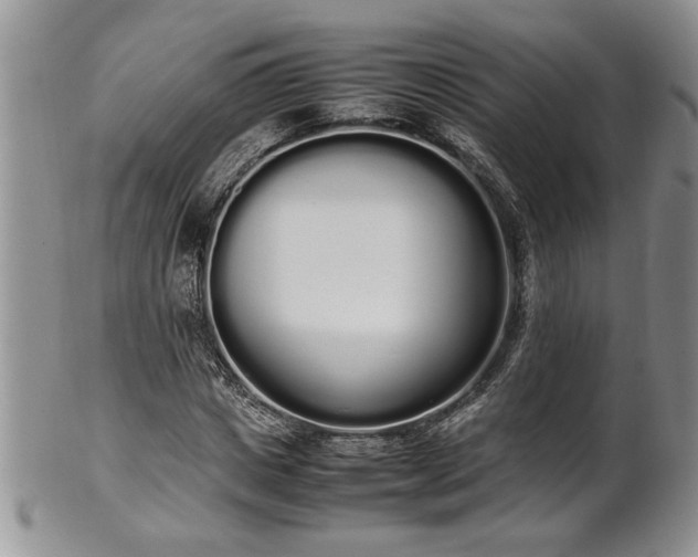 X0000102260825200808011402