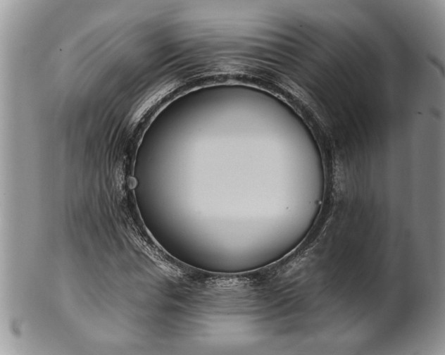 X0000102260826200808011402