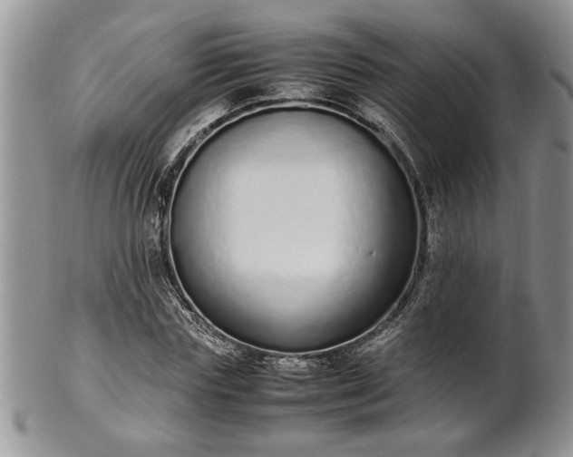 X0000102260827200808011402